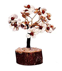 Pushkar Rudraksha Gomti Chakra Tree